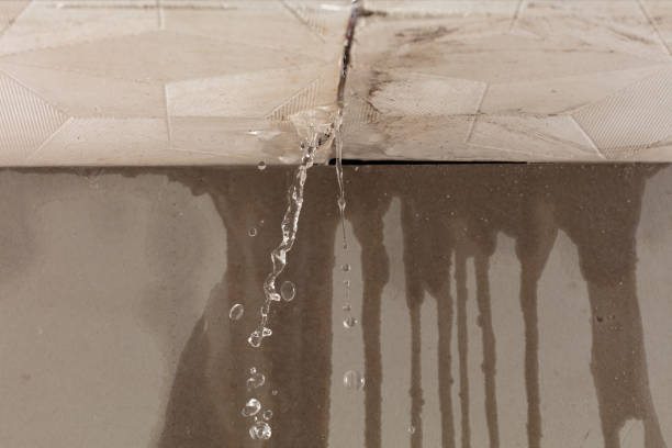 Professional Burst Pipe Cleanup technician working in Minden City, MI